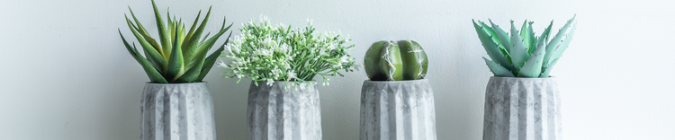 Planters
