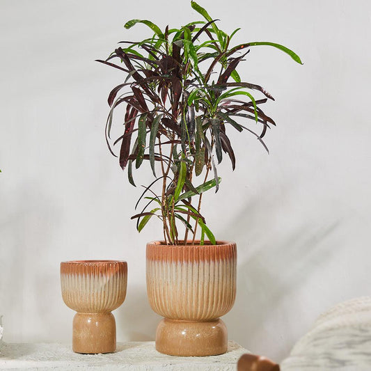 Birch Haven & Cedar Glen Ceramic Pot