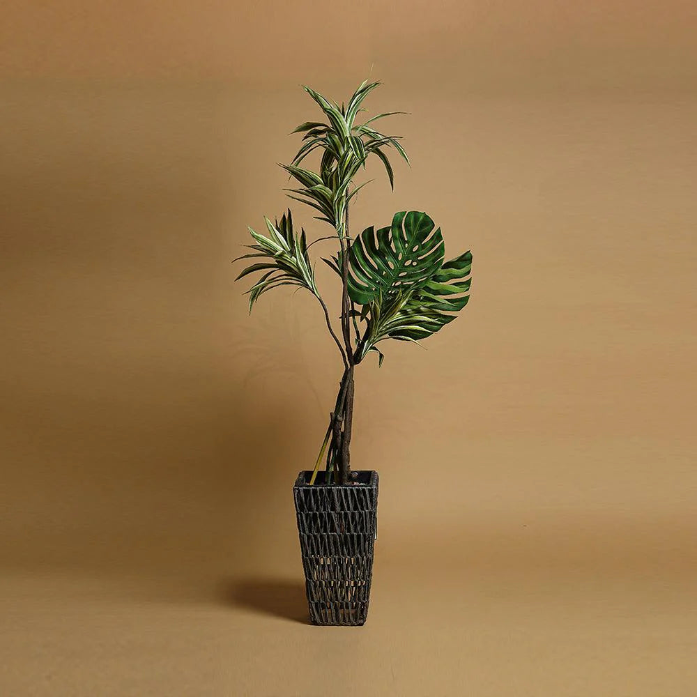 Cedar Haven Planter