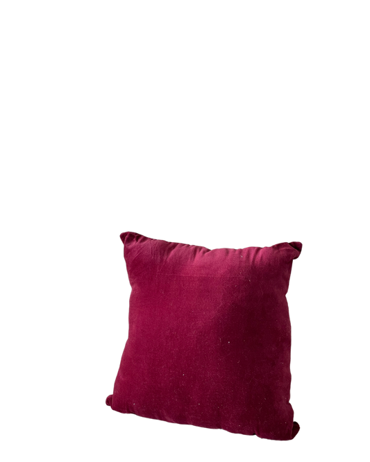 Velvet Cushion