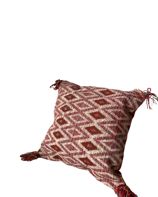 Embroidered Cushion