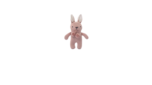 Toto Bear Pink
